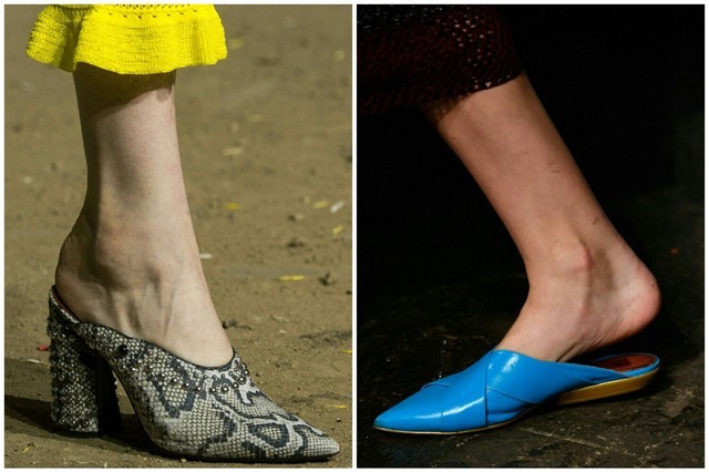 мюли_1 мюли_1