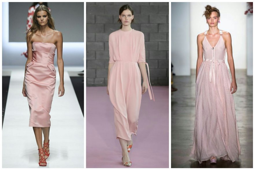 бледный_кизил