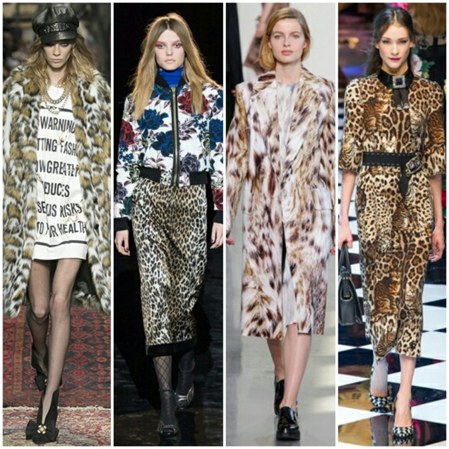 животные_принты