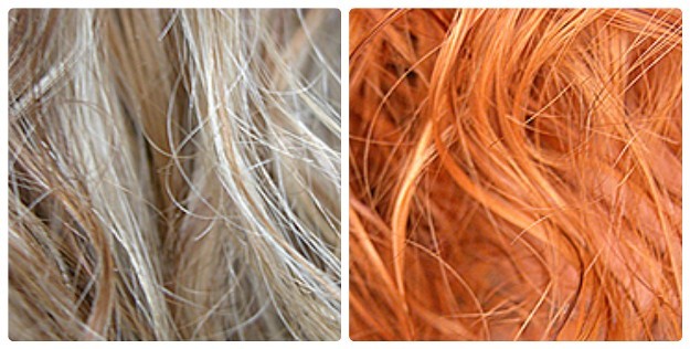 Ромашка Ромашка