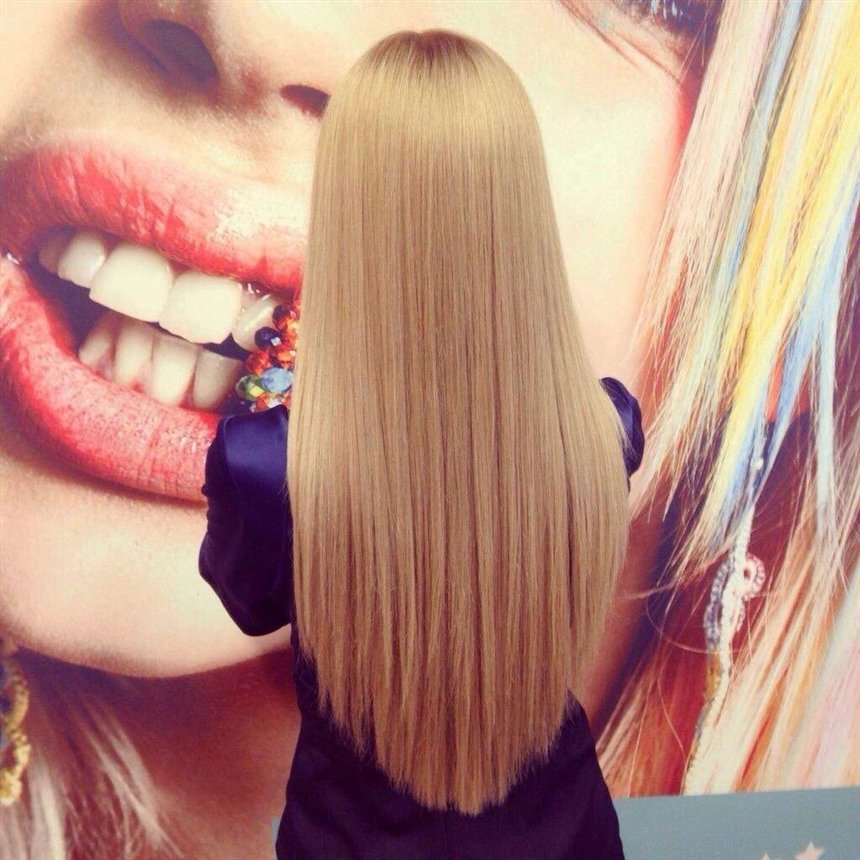 Лисий хвост Лисий хвост