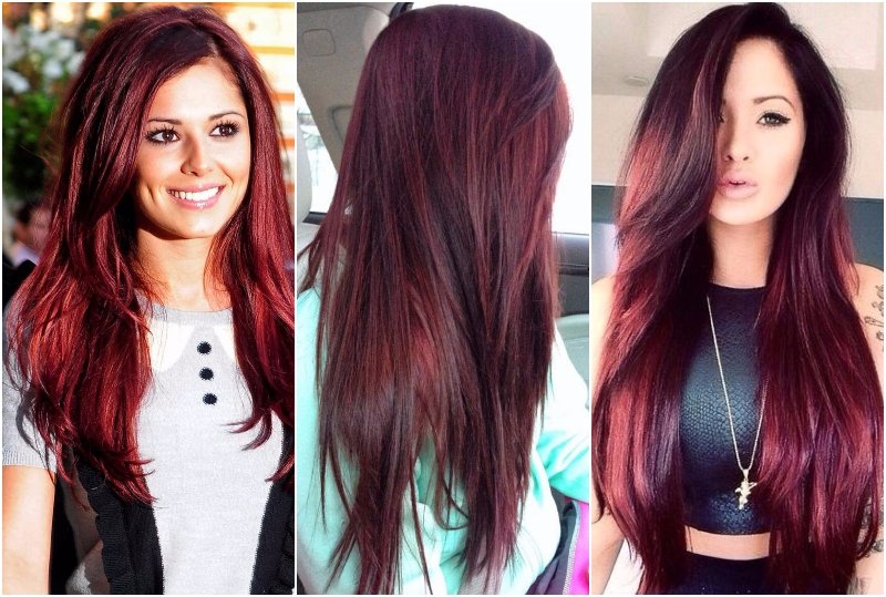 Бордо тренд 2017 Бордо тренд 2017