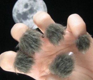 Оборотень Оборотень