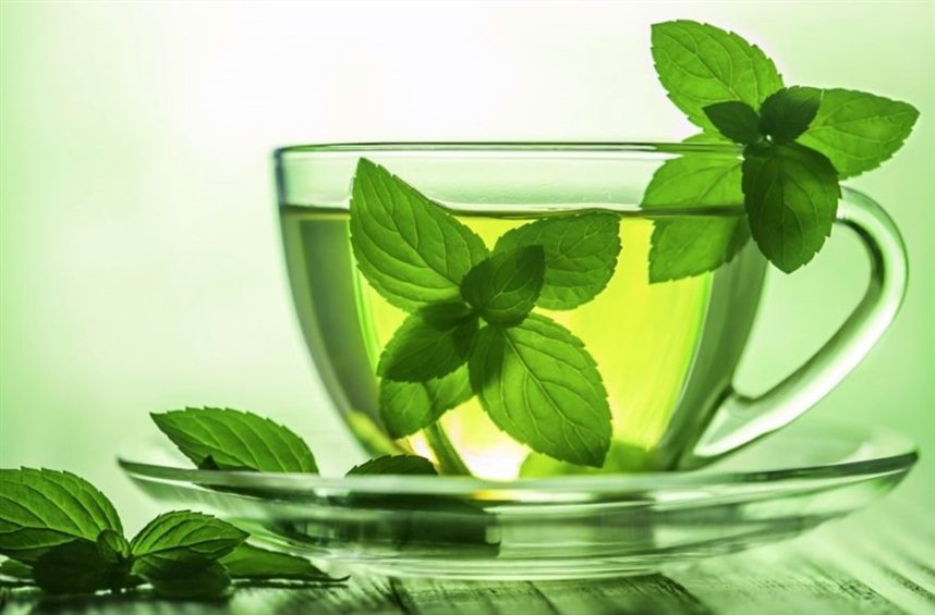 Листья мяты Листья мяты