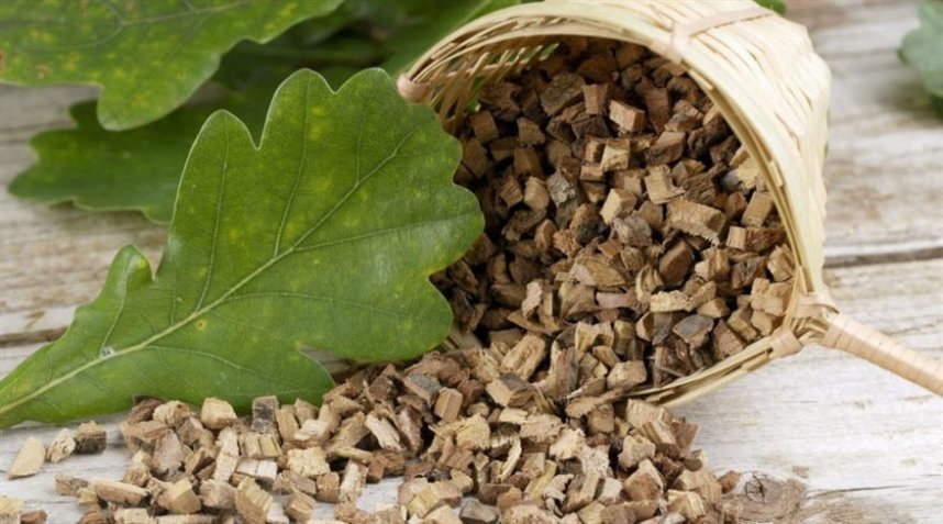 Кора дуба Кора дуба