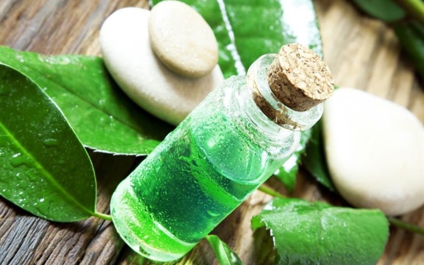 Масло зеленого чая