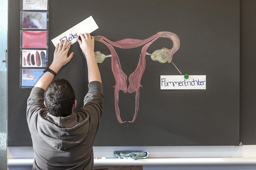 образование