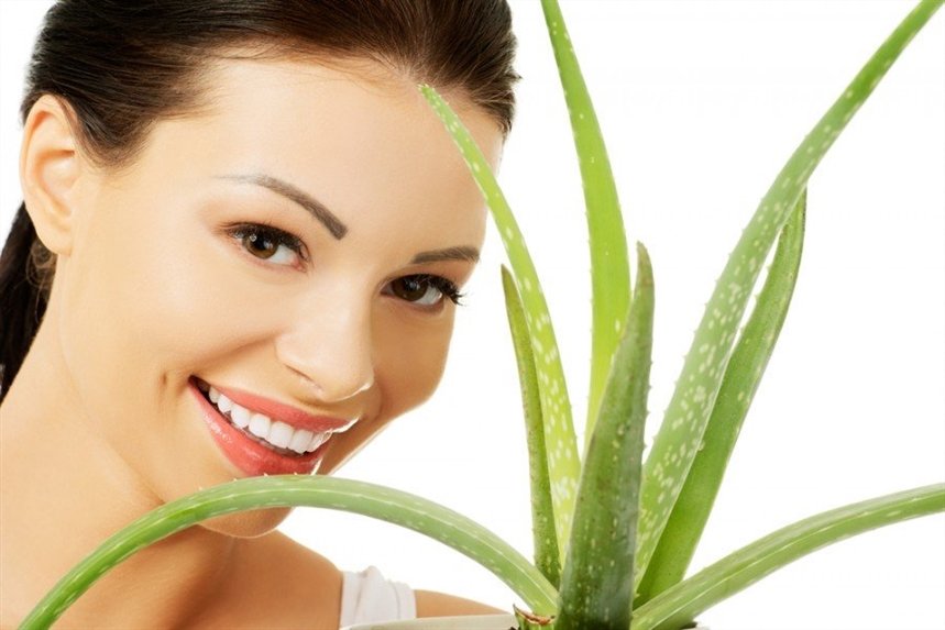 devuschka_s_aloe devuschka_s_aloe