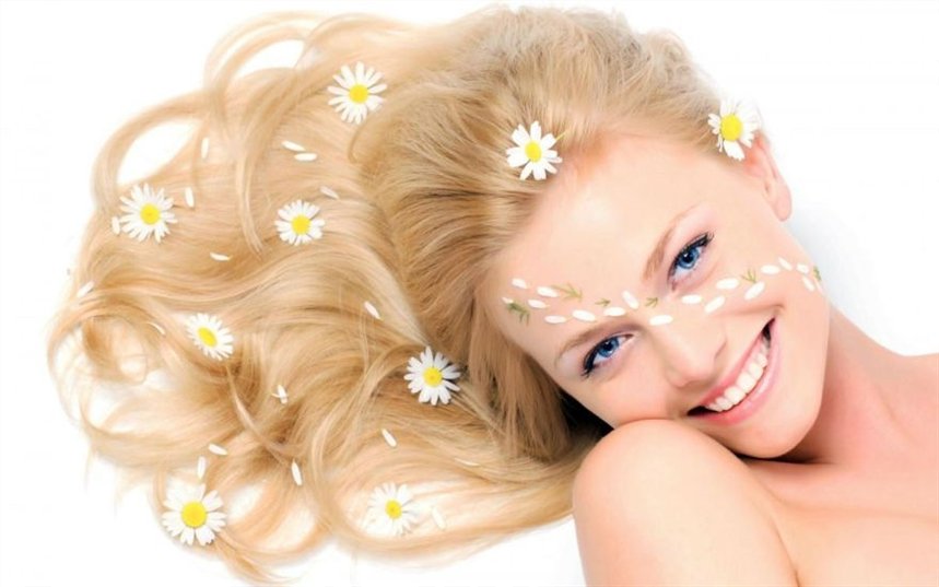 Ромашка Ромашка