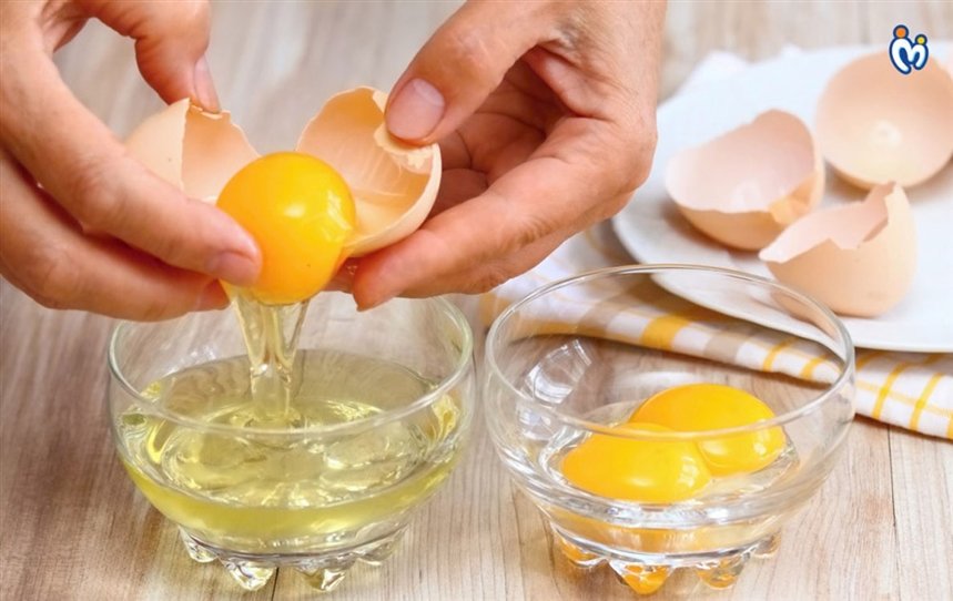 Яичный белок Яичный белок