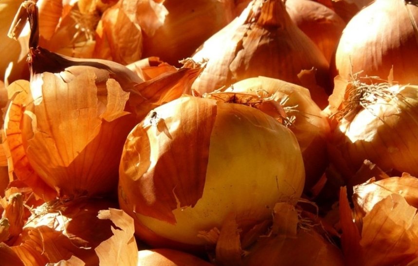 Луковая шелуха Луковая шелуха