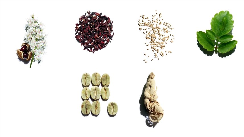 Каштан, гибискус, овес, каланхоэ, кофе, женьшень Каштан, гибискус, овес, каланхоэ, кофе, женьшень