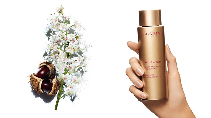 Конский каштан Конский каштан