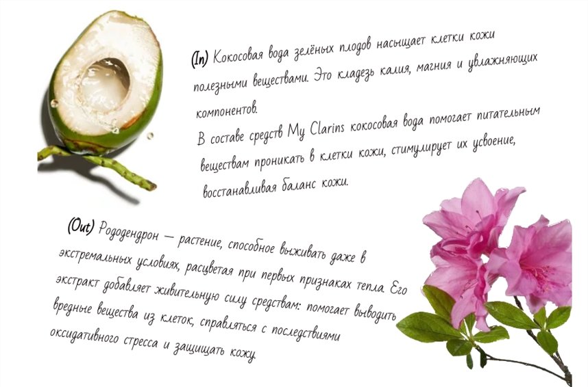 Система In-Out