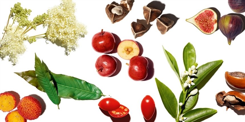 Натуральные ингредиенты MyClarins 