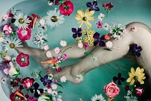 цветы цветы