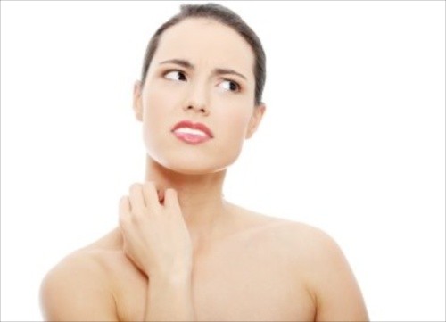 Избегайте укусов