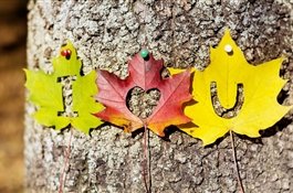 20 идей для свидания осенью