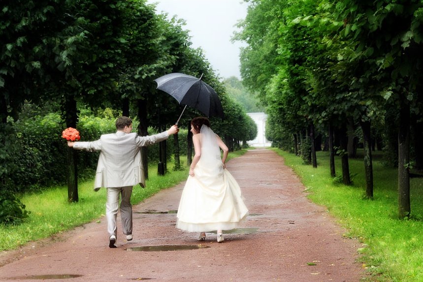 svadba_dogd svadba_dogd