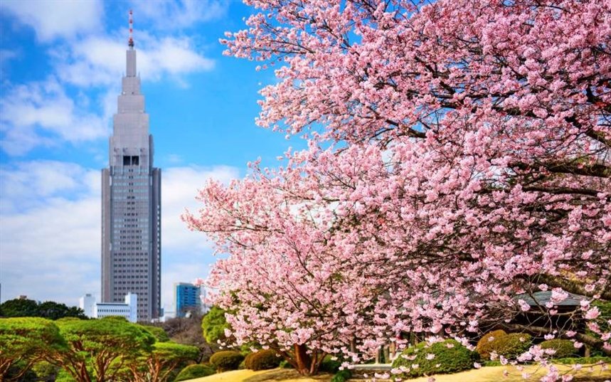 Токио Токио