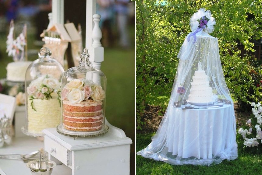 Накрыть еду от насекомых Накрыть еду от насекомых