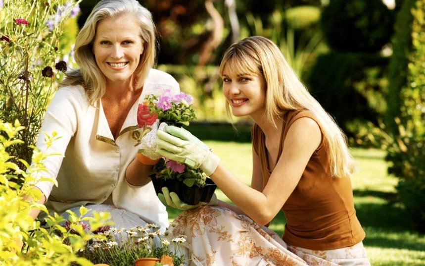 Чистосердечная помощь Чистосердечная помощь