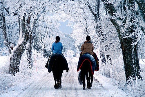 Общие интересы и увлечения Общие интересы и увлечения