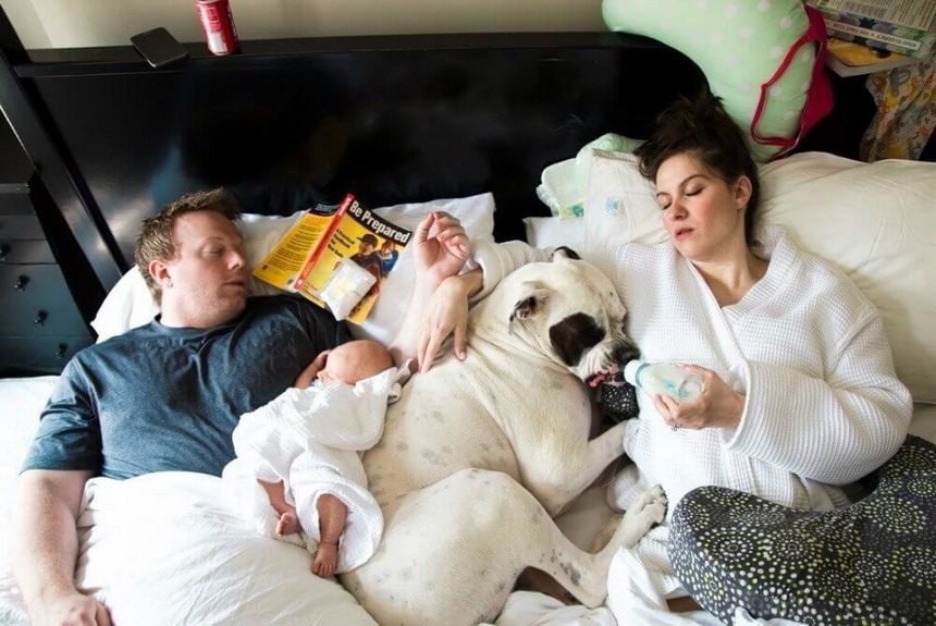 Большая семья Большая семья