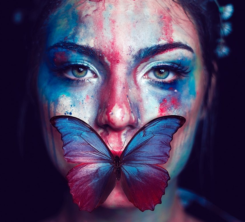 Бабочки Бабочки