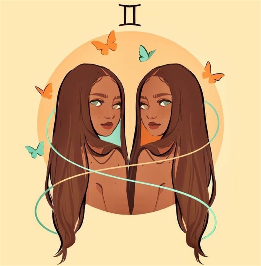 близнецы близнецы