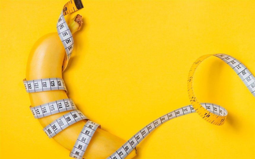 Размер члена Размер члена