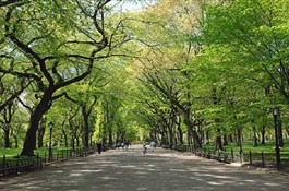 10 самых интересных и красивых мест в Центральном Парке Нью-Йорка