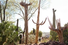 17 оригинальных идей, как провести время в Лас-Вегасе, о которых вам никто не расскажет