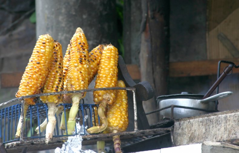 элотес элотес