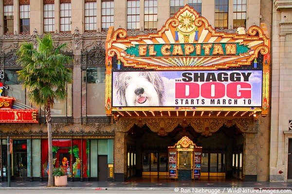 Театр Эль Капитан Театр Эль Капитан