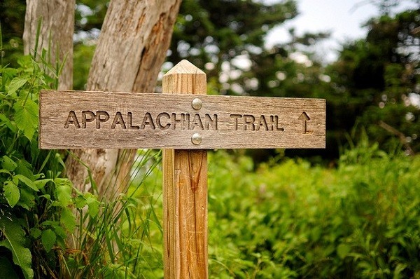 указатели указатели