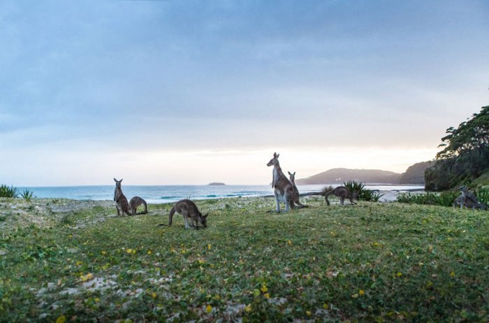 Национальный парк Меррамаранг, Новый Южный Уэльс  Национальный парк Меррамаранг, Новый Южный Уэльс