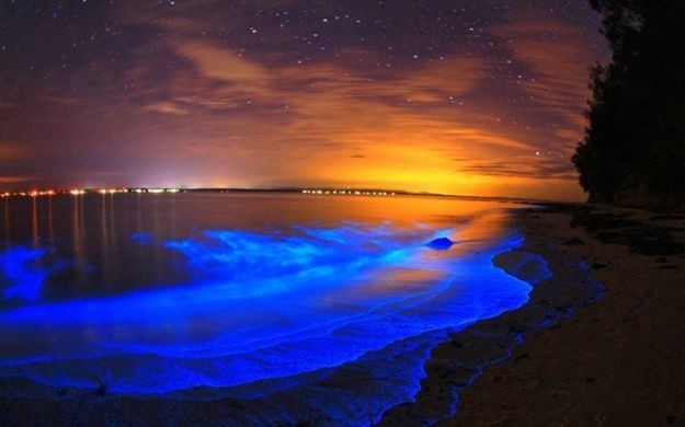 Мерцающие озера Гипсленд: когда ночью светится вода