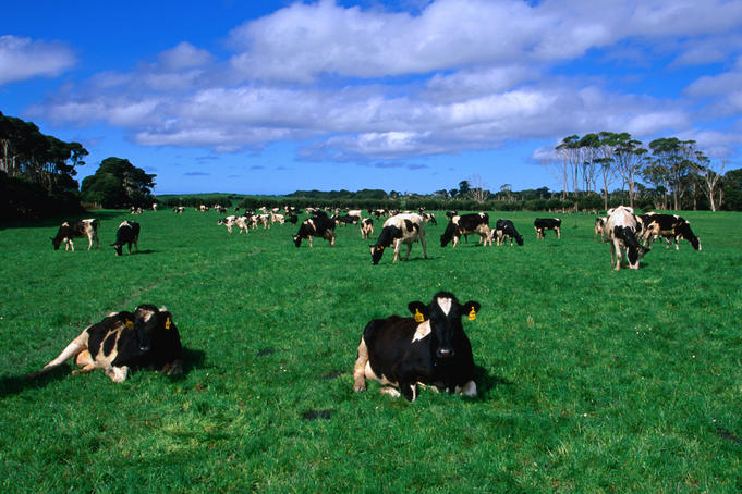 Остров Кинг Айленд 