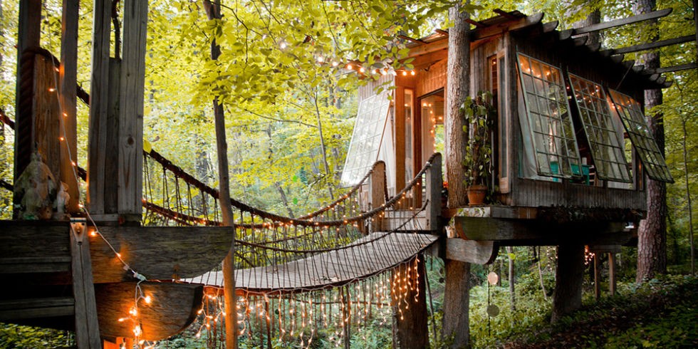 Дом на дереве Дом на дереве