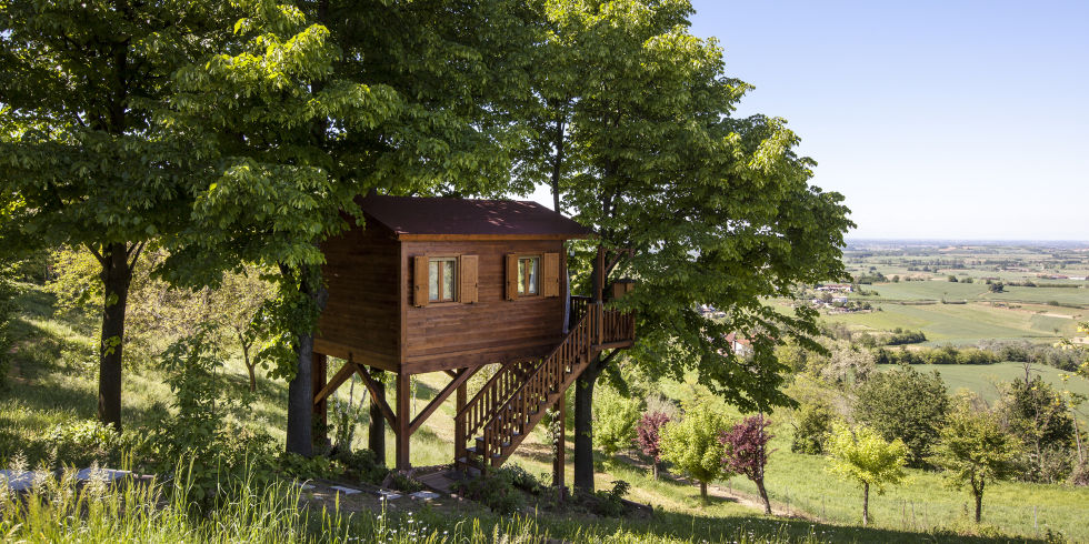 Дом на дереве Дом на дереве