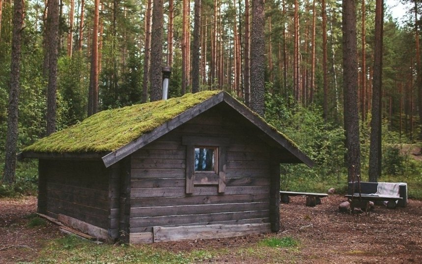 Экоотель Лес