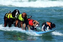 Топ-10 отелей с самыми необычными дополнительными услугами