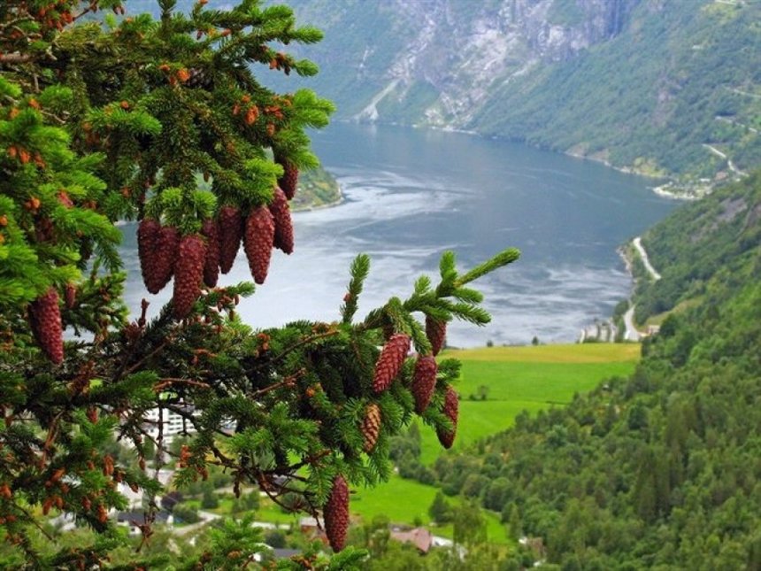 Норвегия Норвегия