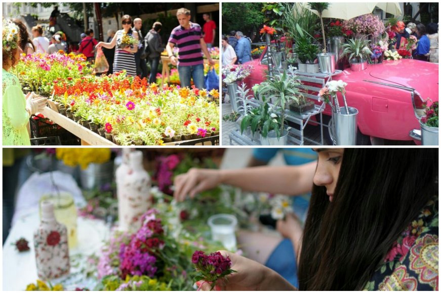 фестиваль_цветов_тбилиси фестиваль_цветов_тбилиси