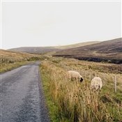 Как удачно провести отпуск в Шотландии