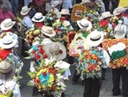 Фестиваль цветов в Медельине