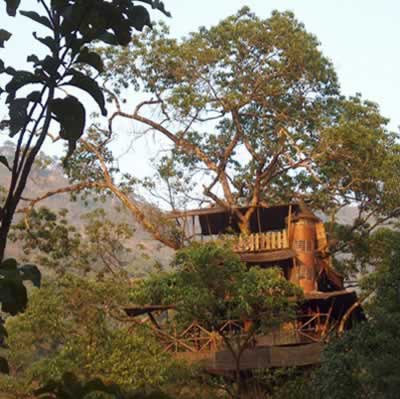 Green Magic Treehouses (Индия): построен на деревьях на высоте 90 футов Green Magic Treehouses (Индия): построен на деревьях на высоте 90 футов