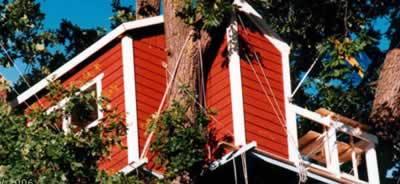 Woodpecker Hotel (Швеция): в парке, для одного гостя Woodpecker Hotel (Швеция): в парке, для одного гостя