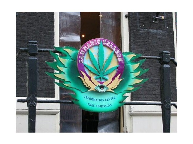 Каннабис_колледж
